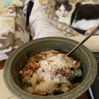 Creamy Artichoke Orzotto (with Simon) 😻🥣👩🏼‍🍳  at The Purple Carrot in Needham Heights