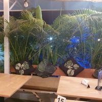  at Eat.Co in Koh Phangan