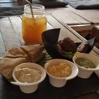 falafel plate at Eat.Co in Koh Phangan