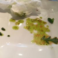 Quite a lot of oil in pesto. This dropped from my bagel which was fully saturated already by oil. at Miazsz in Krakow