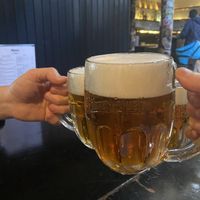 Pilsner   at Belzepub in Prague