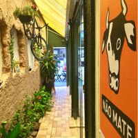 Cute hall with suspended bike & flowers & cruelty free art  at Mount Zion Vegano in Sao Paulo