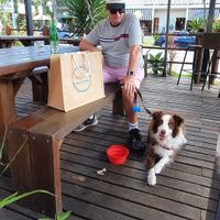 Covered outdoor area, dog friendly at Yami in Brunswick Heads