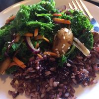 kale and mushroom with brown rice at Indochine Vegan in San Francisco