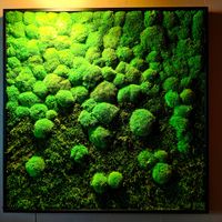 Living vertical garden "painting" inside Cat Tuong. at Cat Tuong in Berlin