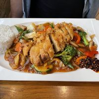 Duck  at Well Being II in Cologne