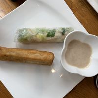 Frühlingsrolle und Sommerrolle at Well Being II in Cologne