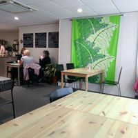 bosh at Roots Vegetarian Cafe in Lancaster