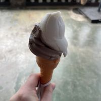 Chocolate and vanilla   at The Soya Centre in Kandy