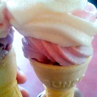 The heavenly soy ice cream they are famous for! at The Soya Centre in Kandy