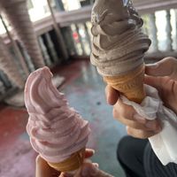 Strawberry and chocolate ice creamm  at The Soya Centre in Kandy