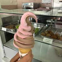   at The Soya Centre in Kandy