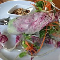 springrolls vegan at Bubbles Live in Chiang Mai