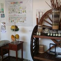 display wall at Bubbles Live in Chiang Mai