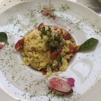 Risotto at Un Piano dans la Theiere in Orleans