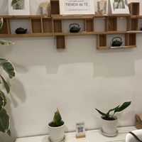   at El Vergel Veggie Restaurant in Tarragona