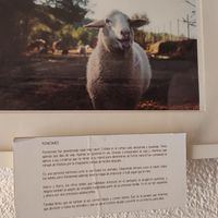 te amamos at El Vergel Veggie Restaurant in Tarragona