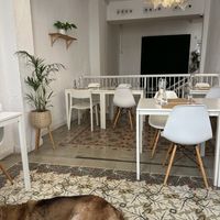 Lovely atmosphere   at El Vergel Veggie Restaurant in Tarragona