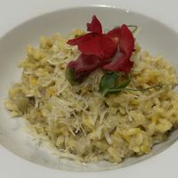 Risotto   at El Vergel Veggie Restaurant in Tarragona