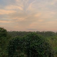   at Elephant Cafe in Ubud