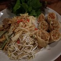Bun Cha Gio at Elephant Cafe in Ubud