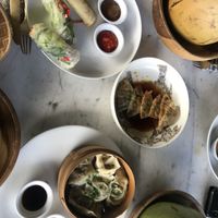 Vietnamese rolls, dumpling and gyoz   at Elephant Cafe in Ubud