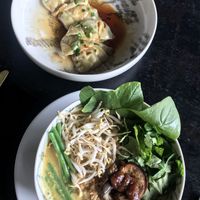 Vegan gyoza and laksa  #Veganuary at Elephant Cafe in Ubud