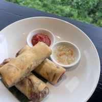 Spring Rolls  at Elephant Cafe in Ubud