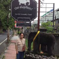 Street side sign on Jalan Raya Sanggingan at Elephant Cafe in Ubud