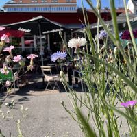 Cafe Mima june 2021 at Cafe Mima in Vienna