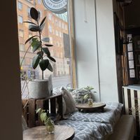   at Fern & Fika in Stockholm