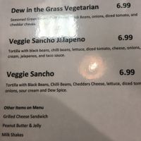 Vegetarian menu  at Dew Chilli Parlor in Springfield