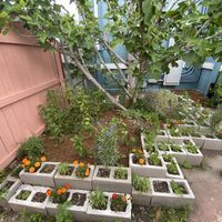 Little garden out by the patio! at Good Eden in New Orleans
