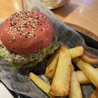   at Marcopolo Freelife in Ushuaia