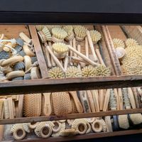  at House of Health in Adelaide