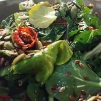 Leaves and seeds salad at Vege Rama in West End