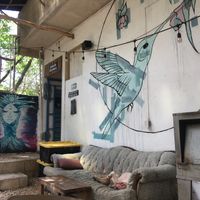 Comfiest dog around  at Co.ConAmor in Tulum