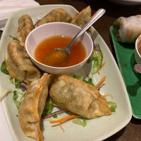 Vegan Dumplings at Lilly's Cafe in New Orleans