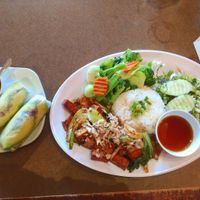 Avocado spring rolls and tofu, rice and steamed veggies at Lilly's Cafe in New Orleans