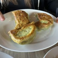 Giant Spinach Potstickers!  at Shandong in Portland