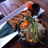 dumplings & salad at Sushi Momo in Montreal