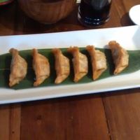 Dumplings at Sushi Momo in Montreal