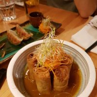 Spring rolls at Sushi Momo in Montreal