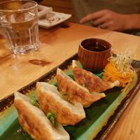 Gyozas at Sushi Momo in Montreal