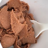chocolate banana sorbet at Vegansky in Dortmund