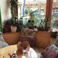 A cozy little haven, blessed by a family of house plants  at Jungle Cafe in Brooklyn