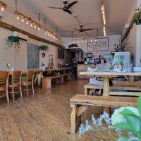 Interior at Jungle Cafe in Brooklyn