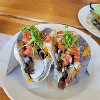  at Jungle Cafe in Brooklyn