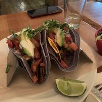   at Jungle Cafe in Brooklyn