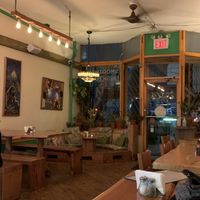   at Jungle Cafe in Brooklyn